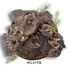 며느리약초 자연산 능이버섯 A급 (특품) 건조 100g, 1개, 100g(1개)