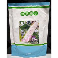 【野菜部屋】彩雲891 F1 甜糯玉米種子 半磅 長勢強 耐倒伏, 1包