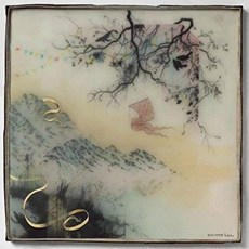 Novo Amor Birthplace 環保黑膠唱片 AP034LP, 1個