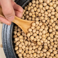 꼰스테이블 볶은 백태콩 100% 국산 볶음콩 국내산 꼰대들의 다정한 식탁, 1개, 400g