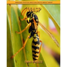 Wasp: Amazing Photos and Fun Facts about Wasp Paperback, Independently Published