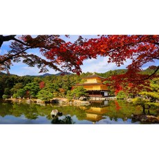 PIXMA日本上網卡1-30天漫遊卡 KDDI/Softbank雙訊號, GMAm.日本10天100GB(10GB/天)