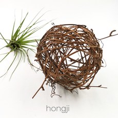 天然藤球 空鳳裝飾 藤圈 藤環 土伏藤 捕夢網 DIY 藤編 花圈 田園 拍攝道具 鄉村風 聖誕節