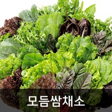 약수농장 모듬쌈채소 2kg, 1개