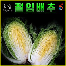 해남 유정이네 절임배추[배송예정일 도착], 10kg