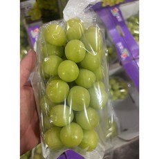 고당도 샤인머스캣 1kg 2kg 가정용 선물용, 1개, 샤인 머스캣 1kg (2~3수) 특상품