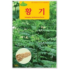 세인화분 황기 300립, 1개