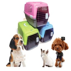 마스온 이동장 M 케이지, 그린