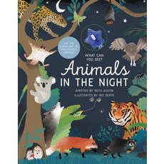 What Can You See? Animals in the Night: Use the Star Light to Find Hidden Animals! Hardcover, Becker & Mayer