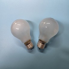 백열전구 220V 30W 불투명 전구색 E26, 2개