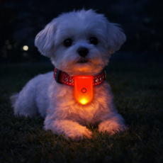 르와핏 강아지 LED 안전 클립 자석 점멸 반사, 3개, 레드