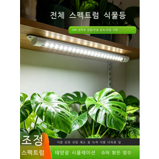 인테리어스탠드조명 식물 채우기 빛 전체 스펙트럼 즙이 많은 색상 모조 태양열 심기 특수, 10 전체 스펙트럼 200CM백색광