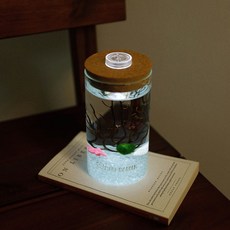 LED 원기둥어항 물 속 친구들 마리모 (마리모 사이즈 M), 1개