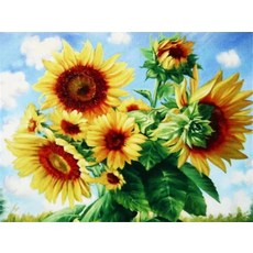 유화 숫자 그림 해바라기 패턴 캔버스 홈데코 대형 사이즈, 6. C6