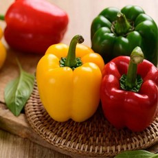 국내산 칼륨 엽산풍부 삼색 파프리카 세트, 1박스, 1kg