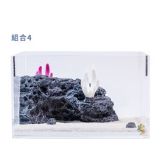 螞蟻帝國繽紛海底-海洋珊瑚石膏巢 中型 一體式 立體 雙面 #蟻巢 #養螞蟻, 1個, 組合④