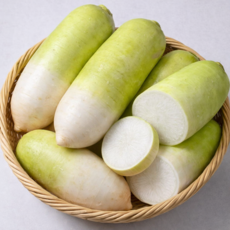 [무농사만30년째] 천상의식감 무우 제주 월동무, 1개, 2kg