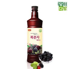 광야 복분자 베이스 970ml 4008+5TBX