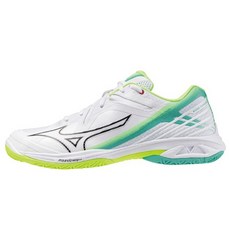 Mizuno 美津濃 WAVE CLAW 3 男款寬楦羽球鞋 71GA244322