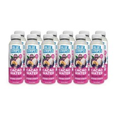 블루 스트라이프스 카카오 워터 패션프루트 12팩, 296ml
