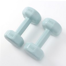 3kg아령세트 GDM 블루 여성용 육각 아령세트 3kg 59000EA 1EA, 본상품