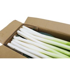 신선 수입 대파 10kg 식자재 업소용 대용량 수입전문업체 유어컨, 1박스