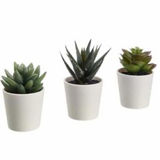 조화화분 조경인테리어 식물 다육 화분 3개 실내조화 6cm, 본상품