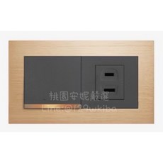 JYE中一 摩登金 1開關1插座蓋板組 JY-N41206-MRD, 1個