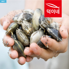해감 조개 왕 백상합 동죽 참바지락 활바지락 1kg 개별포장 [원산지:상세설명에 표시], 백상합(중)1k, 1개