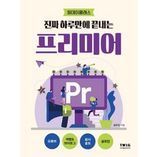 티더블유아이지 진짜 하루만에 끝내는 프리미어, 단품