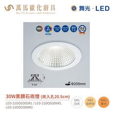 舞光 黑鑽石 崁燈 LED-21DOD 崁孔20.5cm 適用5米高環境 全電壓, 1個, 30W,5000K白光