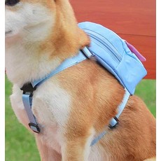 소소 PET 강아지 하네스 산책가방 리드줄 강아지배낭, 01강아지가방-S