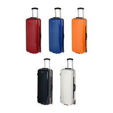 FIVICS AEGIS SINGLE 反曲弓箱 現代弓包 分體弓包 反曲弓弓袋 現代弓包 弓包 弓囊, 白, 1個