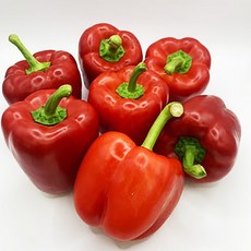 국내산 빨강 파프리카 못난이 홍파프리카, 1개, 1kg