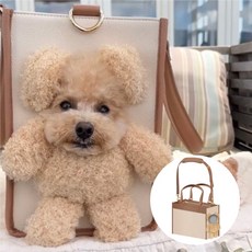 아키즈 빼꼼캐리어 강아지 고양이 반려동물 이동가방 곰돌이 캐리어, 1개, 베이지