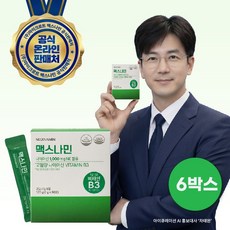 맥스나민(MaxNAMIN) 고용량 비타민 B3 1000g 니코틴산아미드, 6개, 60회분