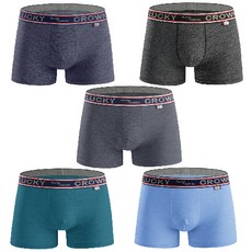 LUCKY CROWN 男童素色4角內褲組 5入