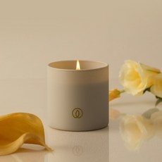 스파스캔들 글로우 향초 165 g 35시간연소, 1개, 165g, 01 애플 앤 시나몬