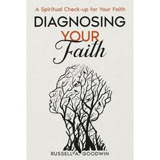 (영문도서)Diagnosing Your Faith Level: A Spiritual Faith Check-Up Paperback, Independently Published, English, 9798242253728