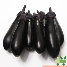 사라상회 가지 2Kg (특), 1개