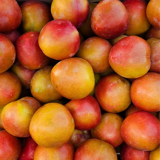 유나니네 새콤달콤 대석 후무사 추희 자두, 1개, 2kg 소과