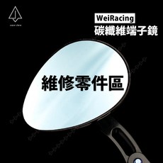 WeiRacing 維修配件 WR碳纖維鏡 全碳纖維端子鏡 正碳纖維零件, 1個, 組合1,白鐵螺絲