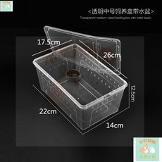 本町萌寵 台灣出貨 爬蟲飼養盒蠶寶寶爬寵飼養箱蜘蛛守宮蜥蜴蜈蚣甲蟲角蛙兩棲烏龜缸 E8wU, 中號飼養盒送水盆10個裝 黑白備註, 1個