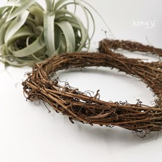 藤球 天然藤圈 空鳳裝飾 藤環 花環 土伏藤 捕夢網 diy 藤編 花圈 田園 拍攝道具 鄉村風 聖誕節