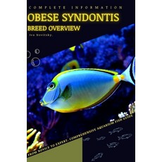 (영문도서) Obese Syndontis: From Novice to Expert. Comprehensive Aquarium Fish Guide Paperback, Independently Published, English, 9798399057446