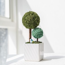 SCANDIAMOSS 親子苔蘚樹花盆, 03_苔蘚綠, 1個