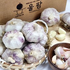 [울팜] 국내산 창녕 통마늘 피마늘, 1개, 통마늘 1kg