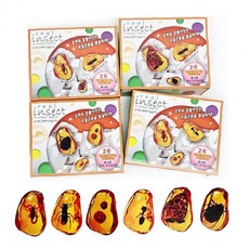 고생물 화석 탐험 체험 학습 교구 6종 과학 실험 놀이 어린이 공룡 곤충 발굴, 1개