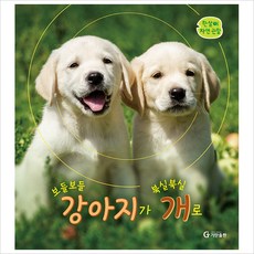 보들보들 강아지가 북실북실 개로-한살이 자연 관찰, 기탄출판, 9791166460913, 없음null