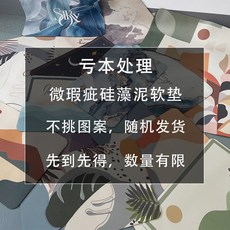 50片軟硅藻泥浴室吸水墊微瑕疵家用進門門墊清倉處理地墊吸水防滑隨機圖案發貨40*60CM, 1個, 隨機圖案發貨